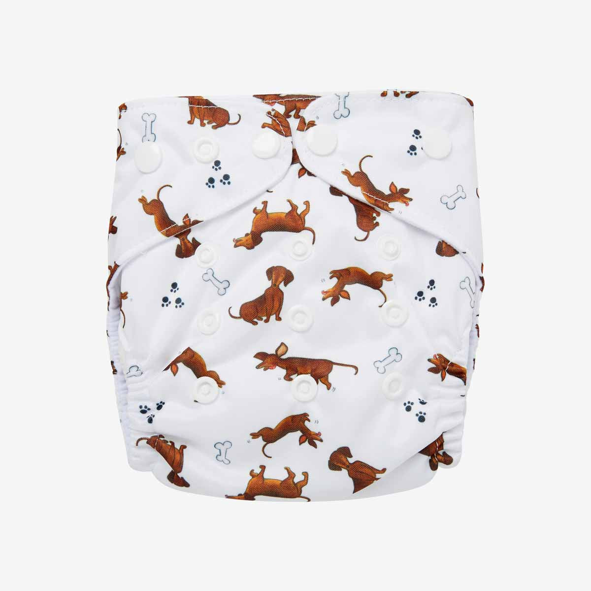 Diapers for best sale miniature dachshunds